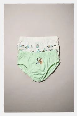 Niños ZARA 1½ - 6 Años·Licencias|1½ - 6 Años·Ropa Interior / Calcetines<2-6 AÑOS/ PACK TRES SLIPS BLUEY © LUDO STUDIO