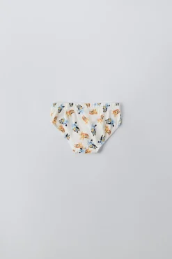 Niños ZARA 1½ - 6 Años·Licencias|1½ - 6 Años·Ropa Interior / Calcetines<2-6 AÑOS/ PACK TRES SLIPS BLUEY © LUDO STUDIO