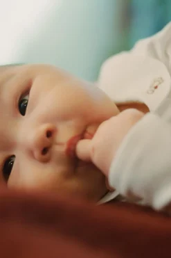 Niños ZARA 0 - 6 Meses·Bodies / Camisas<BODY OSITOS BORDADOS