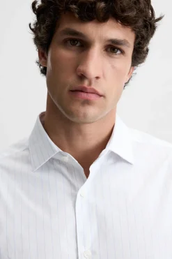 Sale CAMISA EASY CARE RAYAS Hombre Camisas