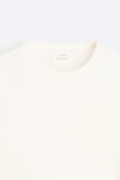 Best CAMISETA ALGODÓN - CÁÑAMO Hombre Camisetas