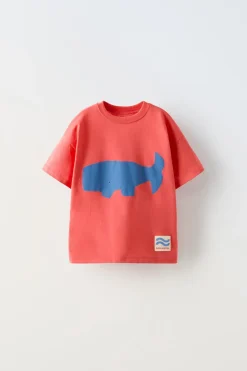Niños ZARA 1½ - 6 Años·Camisetas|1½ - 6 Años·Camisetas<CAMISETA BALLENA
