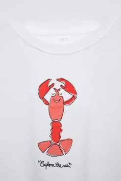 Niños ZARA 6 - 14 Años·Camisetas<CAMISETA BORDADO LANGOSTA