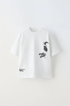 Niños ZARA 6 - 14 Años·Camisetas<CAMISETA COCODRILO ENGOMADO