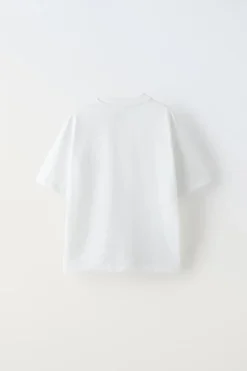 Niños ZARA 6 - 14 Años·Camisetas<CAMISETA COCODRILO ENGOMADO