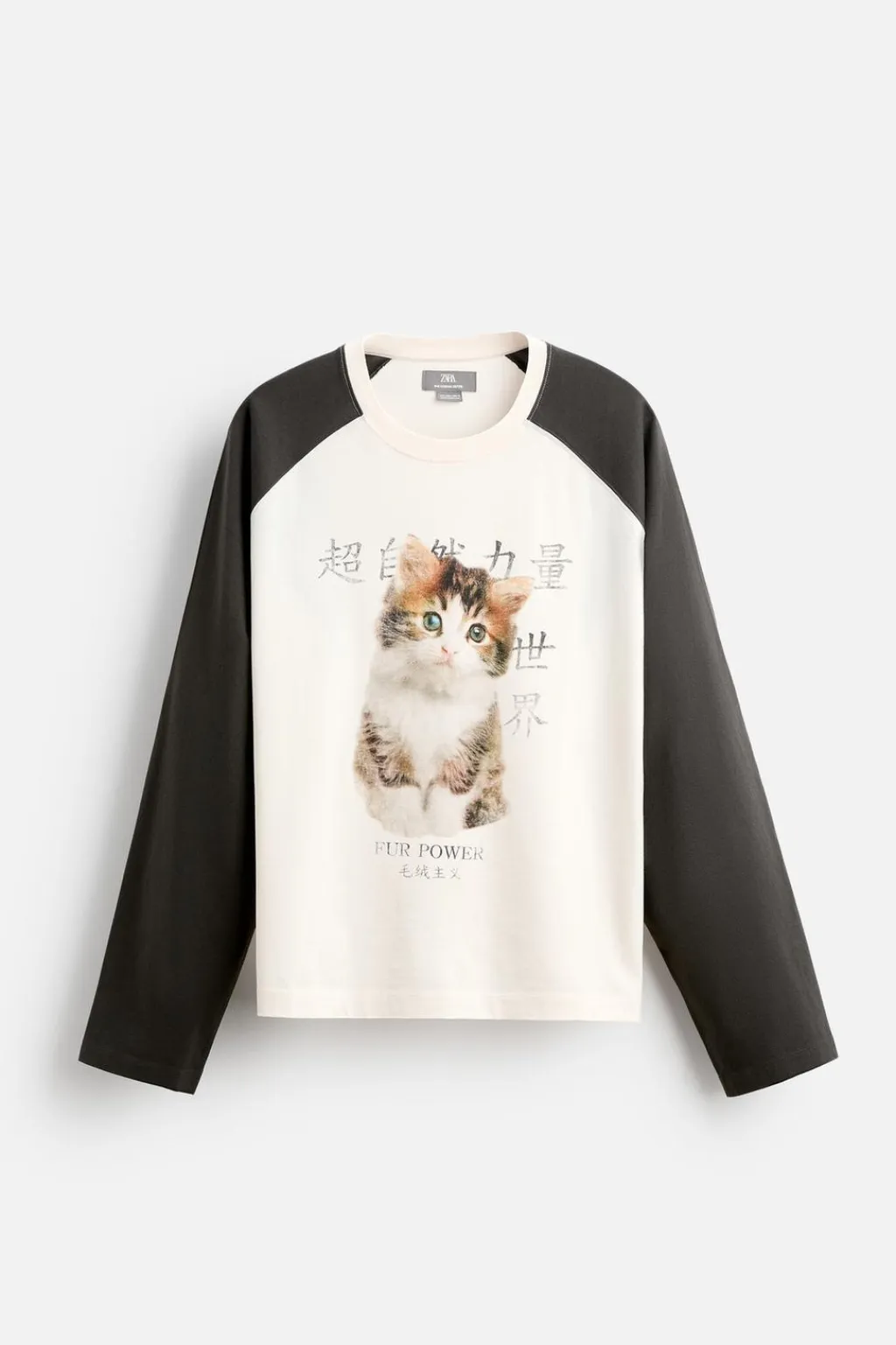 Outlet CAMISETA COLOR BLOCK GATO Hombre Camisetas