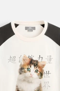 Outlet CAMISETA COLOR BLOCK GATO Hombre Camisetas