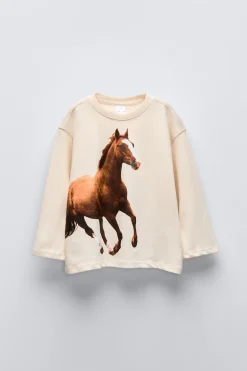 Niños ZARA 6 - 14 Años·Camisetas<CAMISETA FOTOGRAFÍA CABALLO