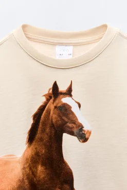 Niños ZARA 6 - 14 Años·Camisetas<CAMISETA FOTOGRAFÍA CABALLO