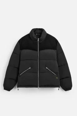 New CAZADORA ACOLCHADA COMBINADO PANA Hombre Plumíferos