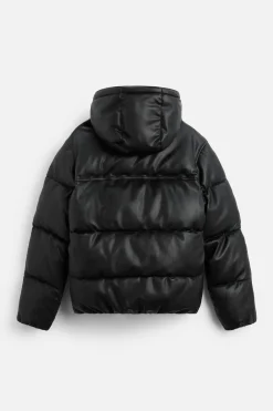 Sale CAZADORA ACOLCHADA EFECTO PIEL Hombre Plumíferos