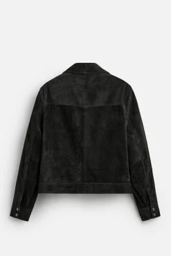 Online CAZADORA ANTE CROPPED FIT Hombre Piel