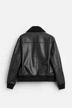 Fashion CAZADORA AVIADORA PIEL Hombre Piel