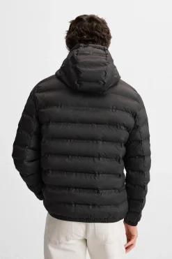 Online CAZADORA LIGERA ACOLCHADA Hombre Plumíferos