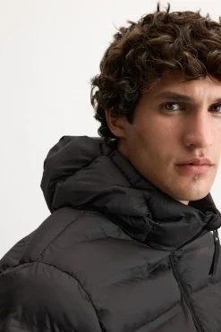 Online CAZADORA LIGERA ACOLCHADA Hombre Plumíferos