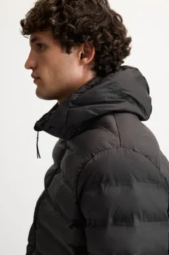 Online CAZADORA LIGERA ACOLCHADA Hombre Plumíferos