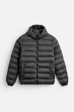 Online CAZADORA LIGERA ACOLCHADA Hombre Plumíferos