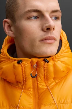 Discount CAZADORA PLUMÍFERO 100% PLUMA Hombre Plumíferos