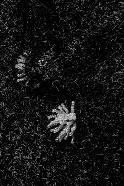 Sale CHAQUETA PUNTO HILO METALIZADO Mujer Cárdigan / Jerséis|Punto