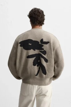 New CÁRDIGAN INTARSIA CONTRASTE Hombre Jerséis / Chaquetas