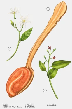 Best FIELDS AT NIGHTFALL EDP 100ML (3.4 FL OZ). Mujer Perfumes