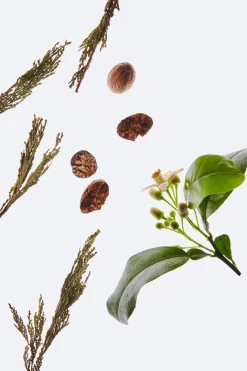 Online FOR HIM BLACK EDITION 100ML Hombre Perfumes