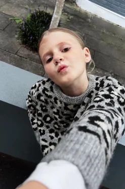 Niños ZARA 6 - 14 Años·Punto<JERSEY PUNTO ANIMAL PRINT