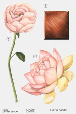 Online LIGHTLY BLOOM EDP 100ML (3.4 FL OZ). Mujer Perfumes