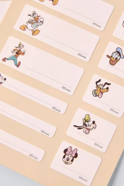 Niños ZARA 1½ - 6 Años·Licencias|1½ - 6 Años·Accesorios<PEGATINAS TERMOADHESIVAS © DISNEY