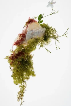 Best RED TEMPTATION ELIXIR PARFUM 80ML (2.7 FL. OZ). Mujer Perfumes