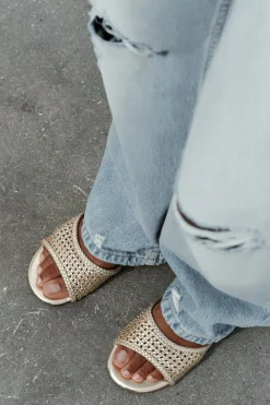 Online SANDALIA PLANA TRENZADA METALIZADA Mujer Zapatos