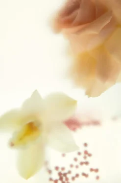 Online SHADES OF JOY EDP 100ML (3.4 FL. OZ). Mujer Perfumes