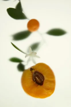 Discount SHADES OF LUST EDP 100ML (3.4 FL. OZ). Mujer Perfumes