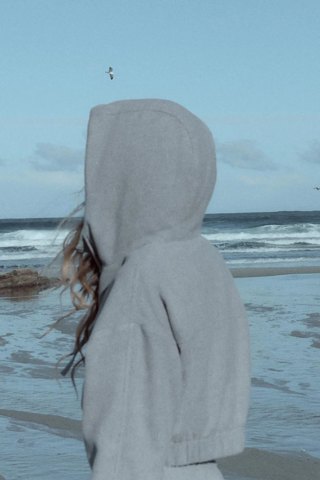 Sale SUDADERA CROP SOFT CAPUCHA Mujer Sudaderas / Joggers