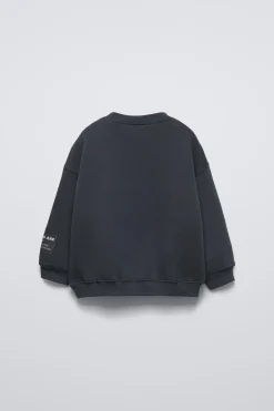 Niños ZARA 1½ - 6 Años·Sudaderas|1½ - 6 Años·Total Look<SUDADERA DINOSAURIO FLOCK