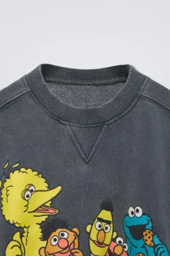 Niños ZARA 1½ - 6 Años·Sudaderas|1½ - 6 Años·Licencias<SUDADERA EFECTO LAVADO BARRIO SÉSAMO ©