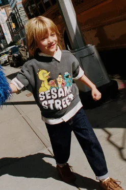 Niños ZARA 1½ - 6 Años·Sudaderas|1½ - 6 Años·Licencias<SUDADERA EFECTO LAVADO BARRIO SÉSAMO ©