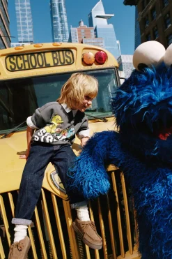 Niños ZARA 1½ - 6 Años·Sudaderas|1½ - 6 Años·Licencias<SUDADERA EFECTO LAVADO BARRIO SÉSAMO ©