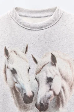 Niños ZARA 6 - 14 Años·Sudaderas<SUDADERA ESTAMPADA CABALLOS