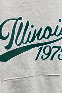 Clearance SUDADERA ILLINOIS CAPUCHA Mujer Sudaderas / Joggers