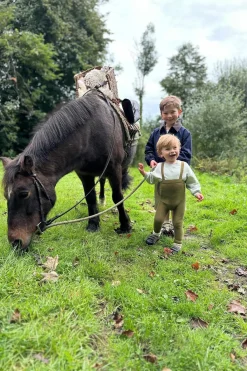 Niños ZARA 6 - 18 Meses·Sudaderas<SUDADERA LISA