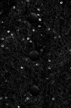 Discount TOP BUSTIER FLECOS LENTEJUELAS Mujer Tops / Bodies